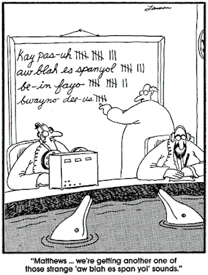 Language Needs