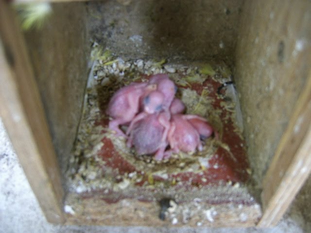 [DCAM5867.JPG]