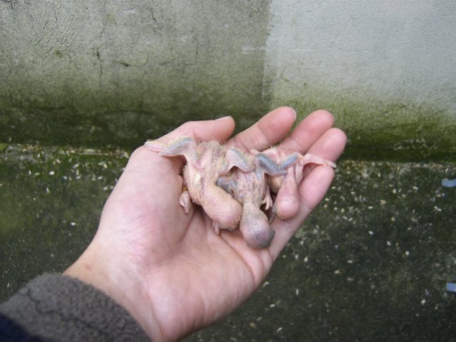 [DCAM5891.JPG]