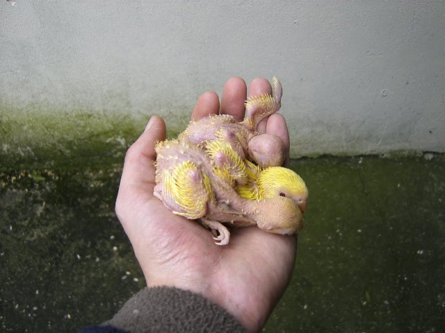 [DCAM0068.JPG]