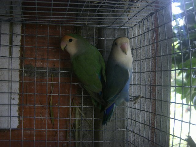 [DCAM1557.JPG]