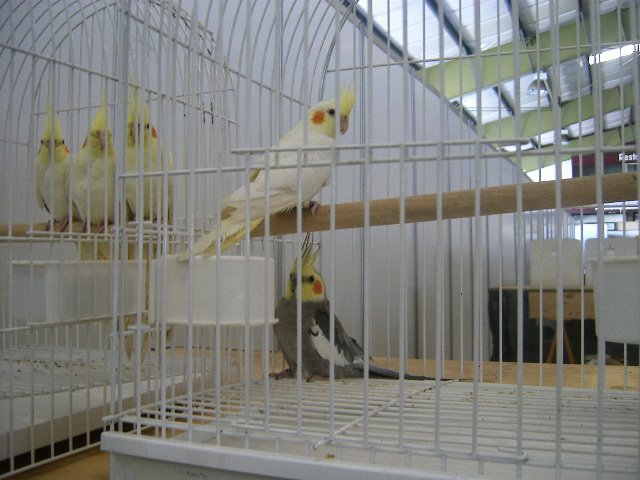 [DCAM2711.JPG]