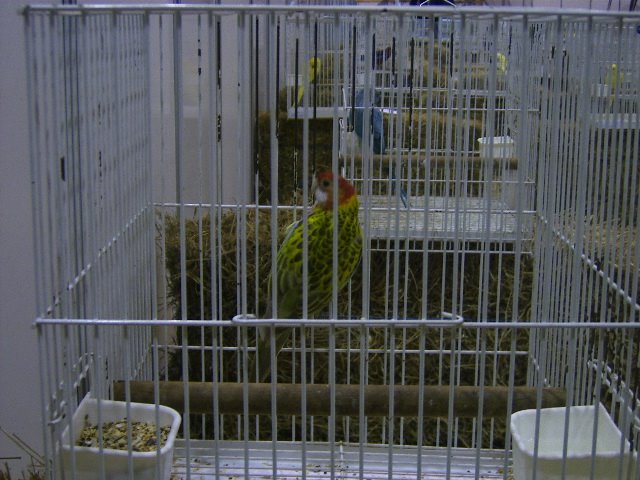 [DCAM2866.JPG]