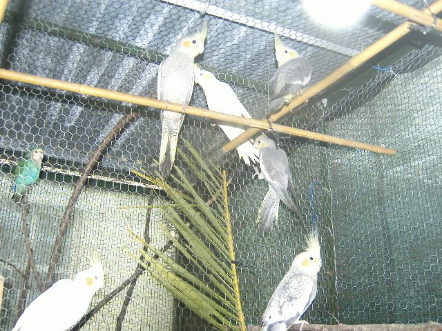 [DCAM3082.JPG]