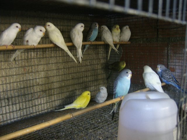 [DCAM3568.JPG]