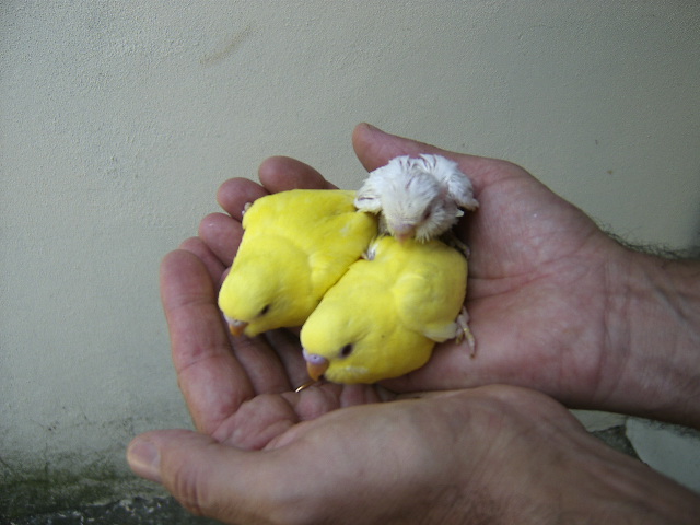 [DCAM4781.JPG]