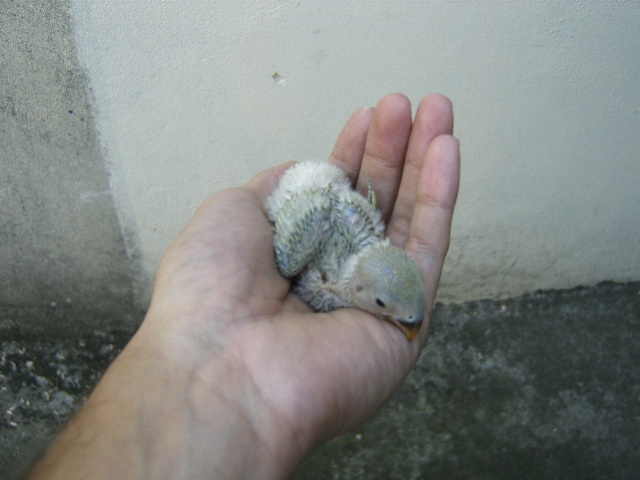 [DCAM5339.JPG]