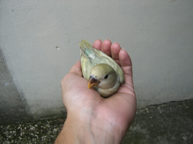 [DCAM5403.JPG]