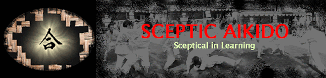 Sceptic Aikido Bandung Indonesia