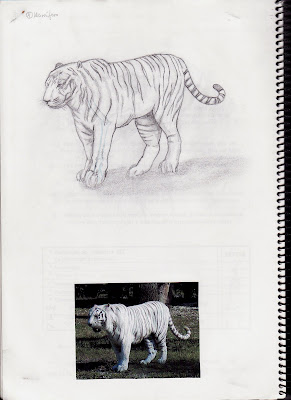 Lera Art ^_^ Mis dibujos, animaciones, esculturas, ediciones de video y más cosillas ^_^ 1+tigre