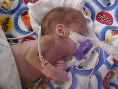 Braden