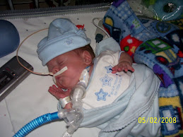 Braden
