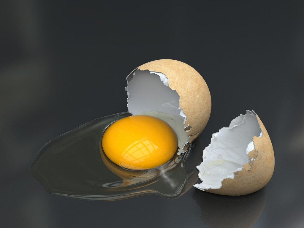 [broken_egg_fgcd.jpg]