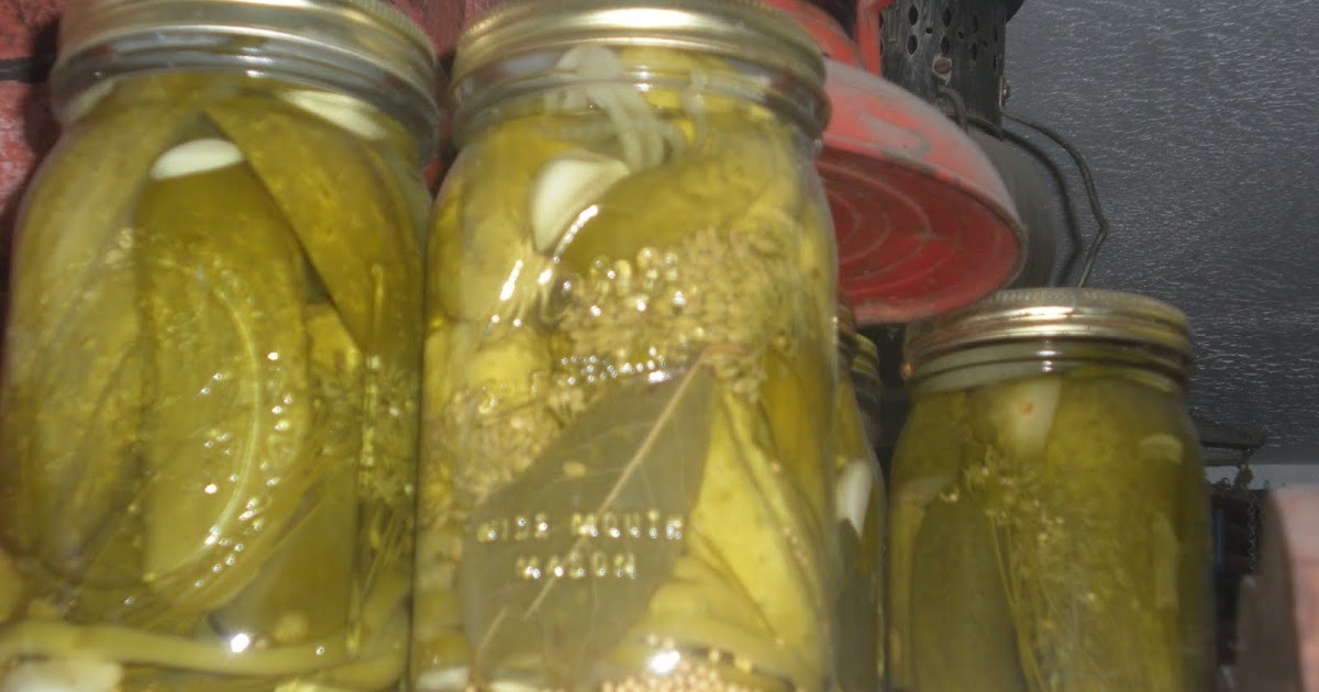 Homestead Wannabes German Dill Pickle Recipe