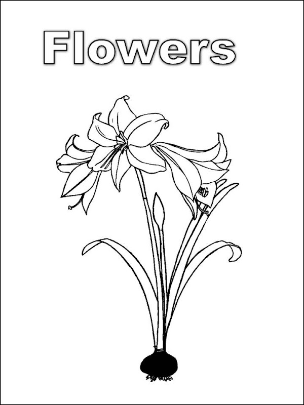 Coloring Pages Crafts - Flowers 2 black and white picture to color  title=