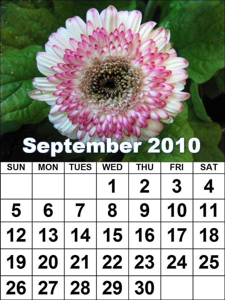 calendar of june 2012. format june 2012 printable