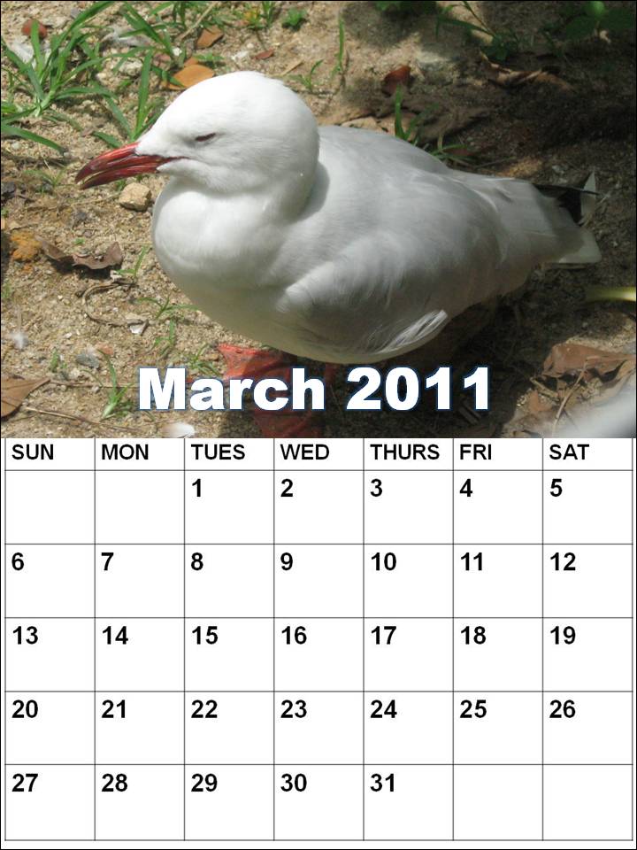 blank calendars for march 2011. Blank+2011+calendar+march