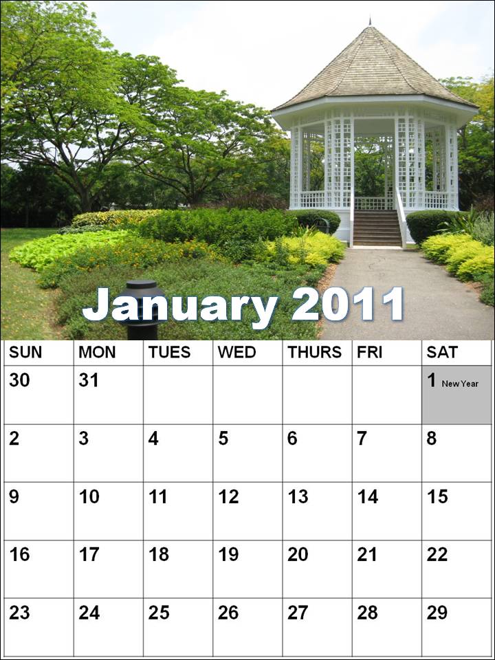 January 2011 Calendar