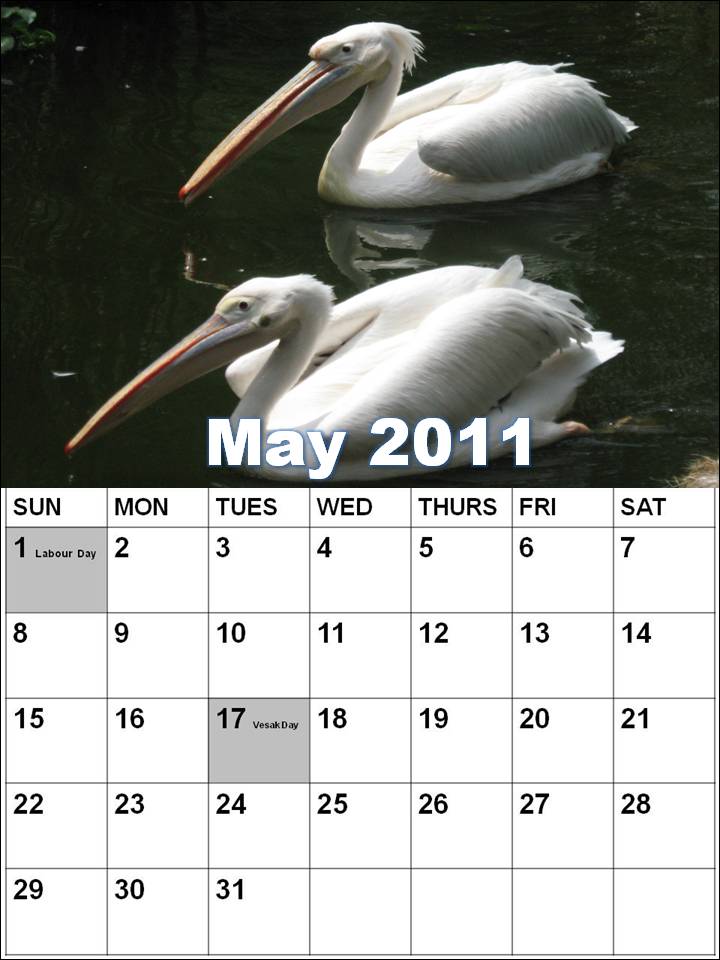 may 2011 calendar with holidays. 2011 calendar with holidays