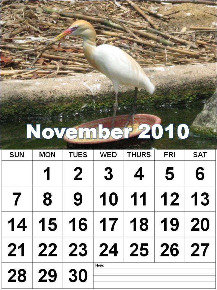 november 2010 calendar. November+2010+calendar+