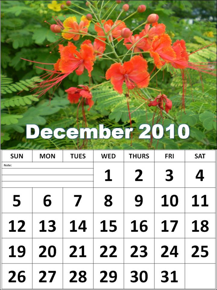 Free Printable Calendar 2010