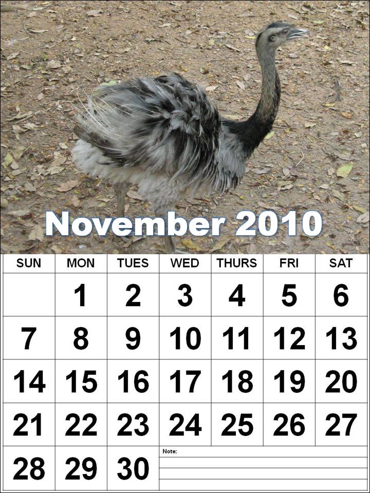 2010 november calendar. Calendar 2010 November
