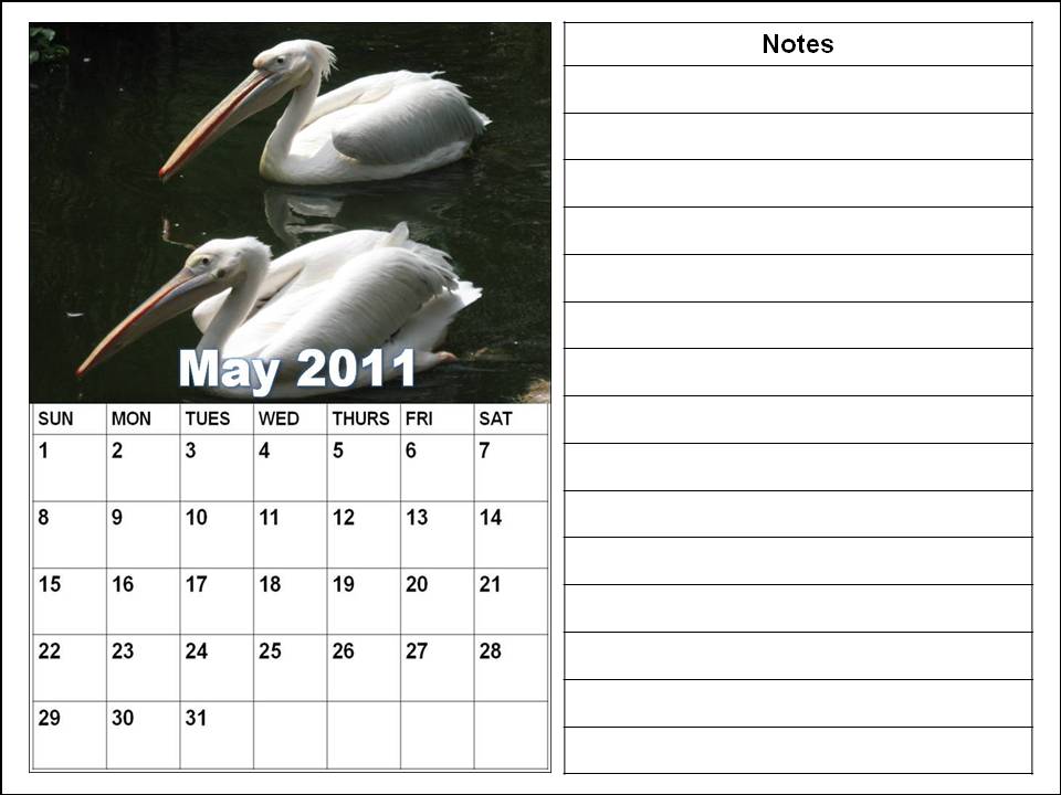 blank calendar 2011 may. Blank+calendar+2011+may