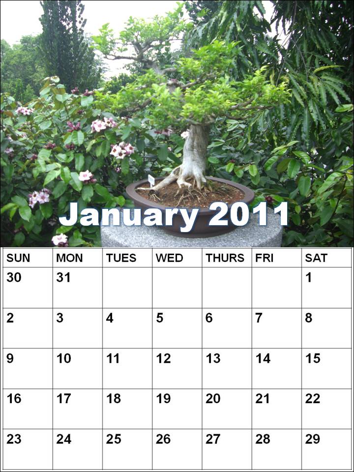 blank january 2011 calendar. Blank+calendar+2011