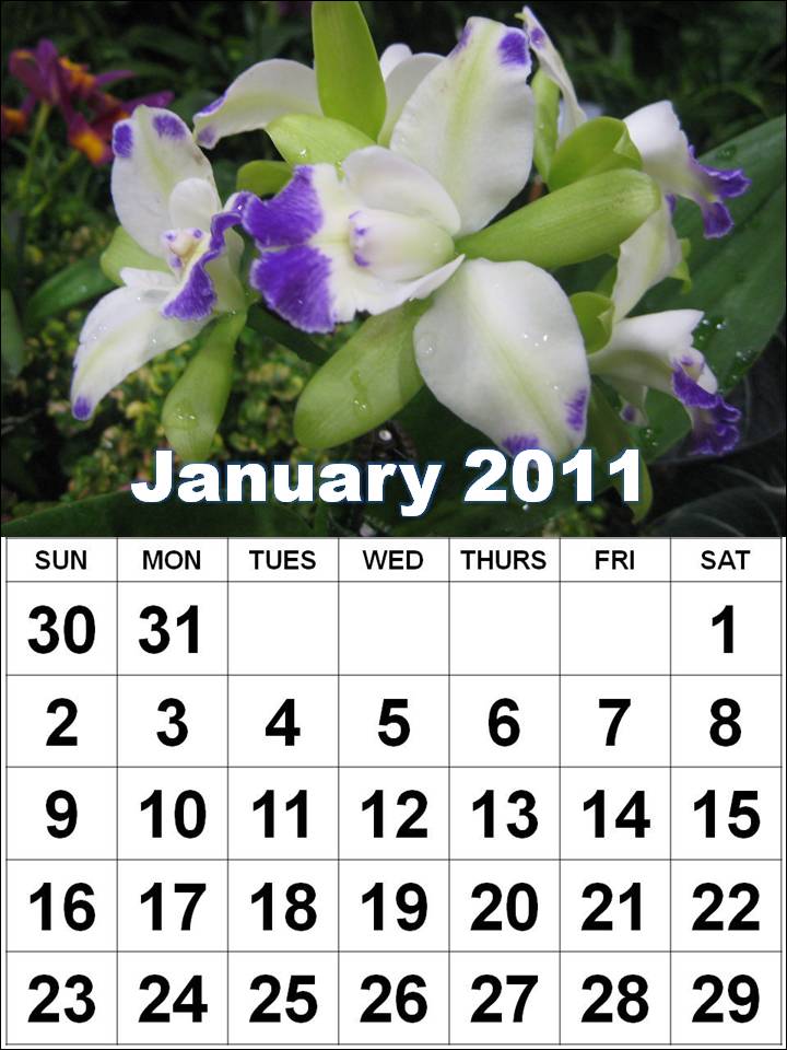 blank january 2011 calendar. calendar 2011 january or