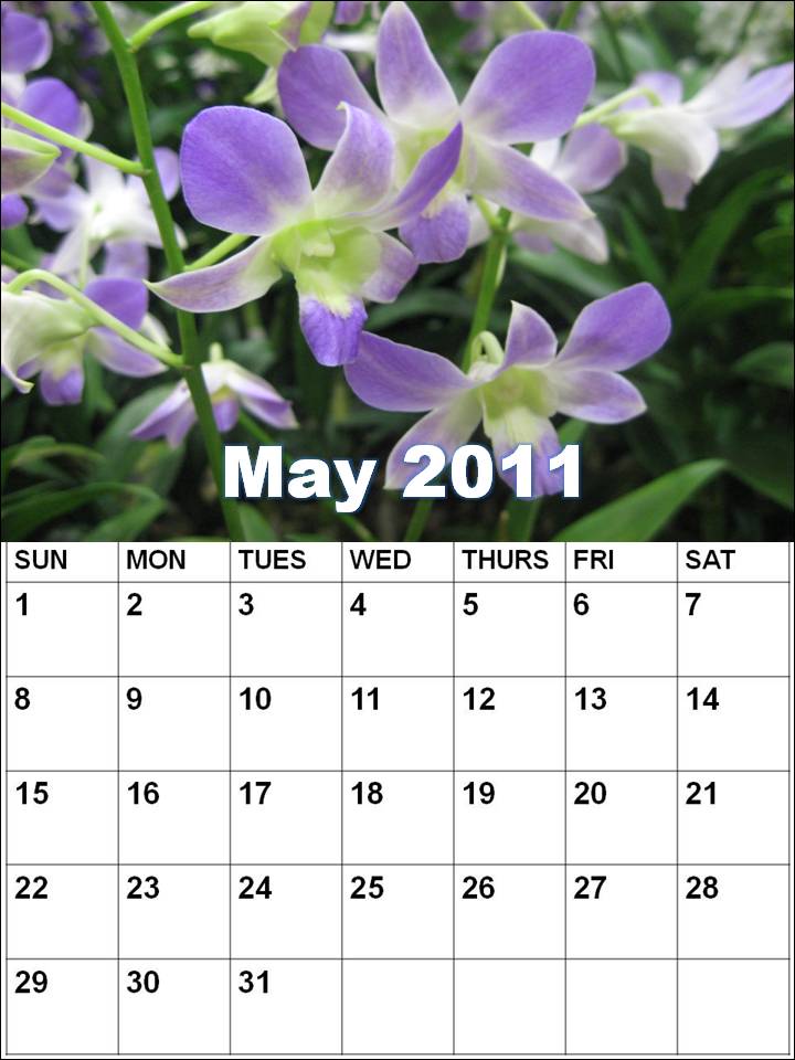blank calendar template 2011. Blank+calendar+2011+may