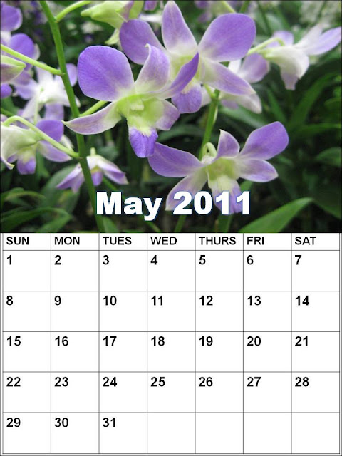 blank calendar template 2011. Calendar+template+2011+may