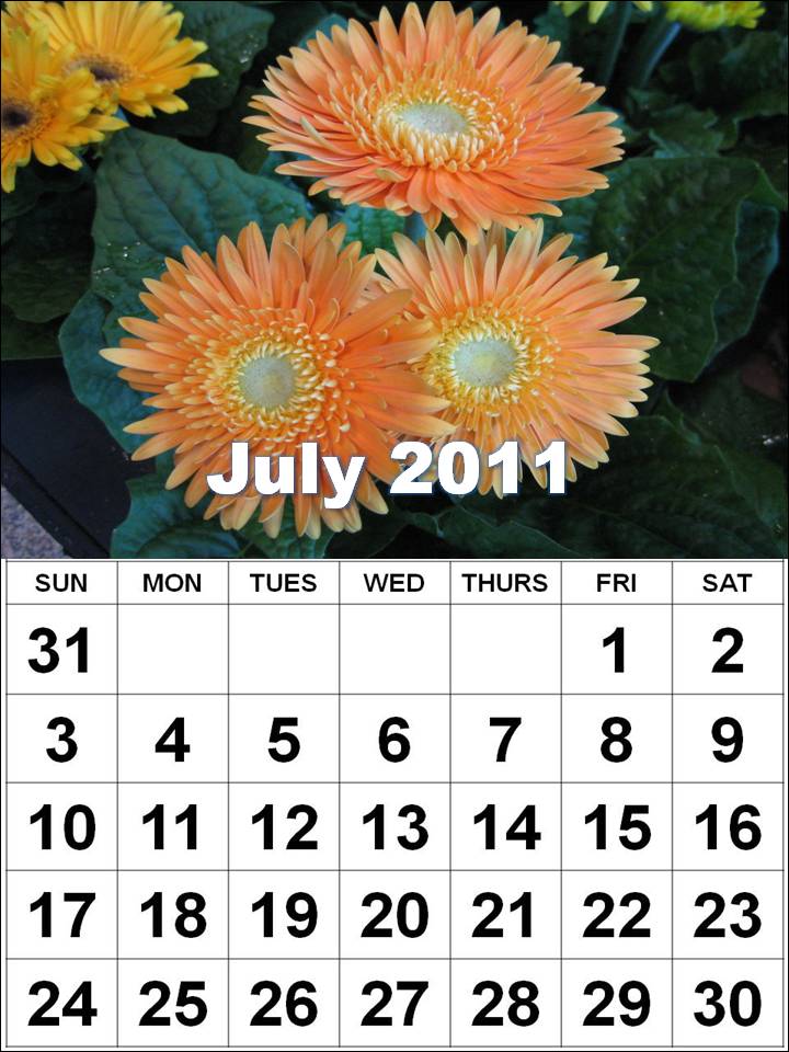 july 2011 calendar. download or print 2011