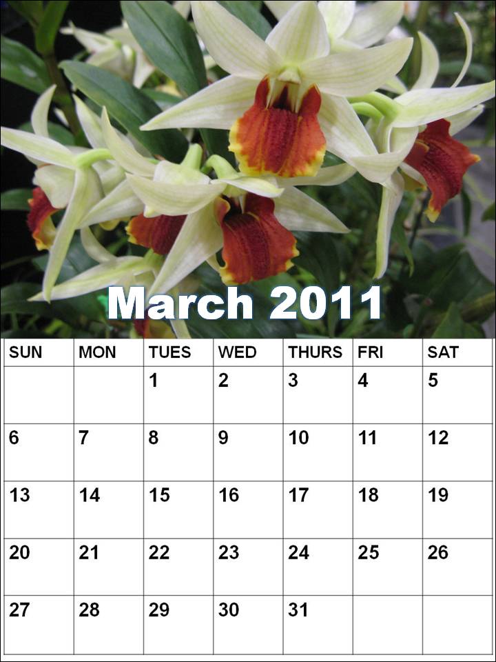 blank calendar 2011 march. Blank Calendar 2011 March or