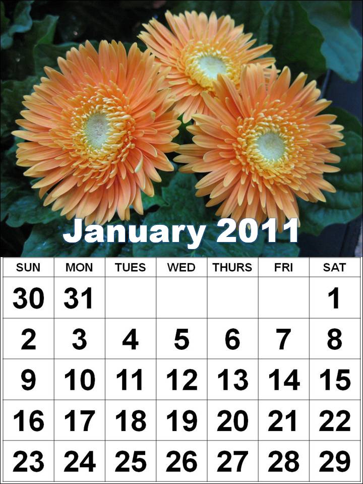 weekly calendar template excel. Two+week+calendar+template
