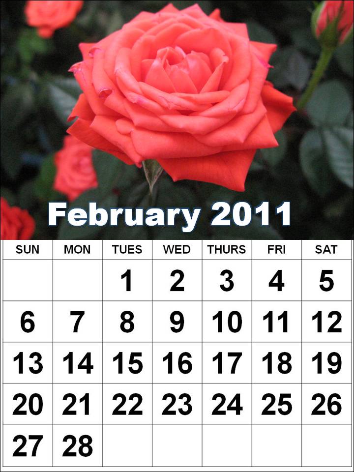 Printable+month+by+month+2011+calendar