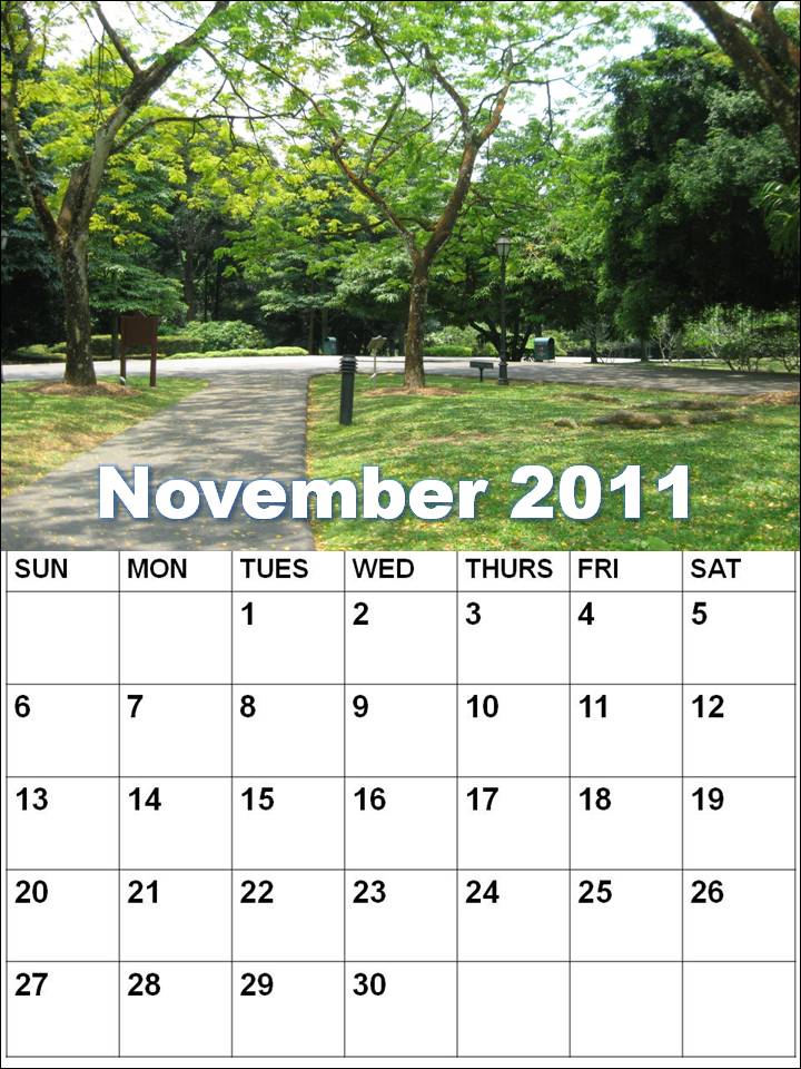 november calendars. NOVEMBER 2011 BLANK CALENDAR