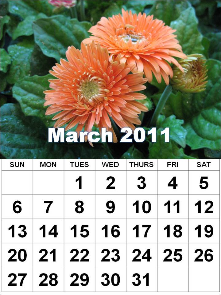 photo calendar template 2011. Print this calendar template