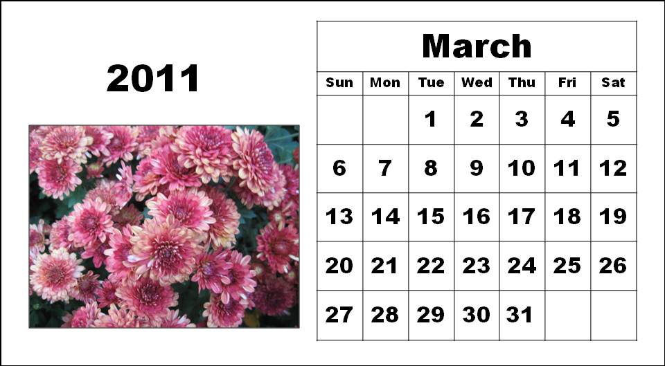 2011 calendar month wise