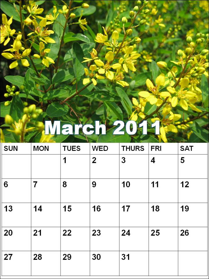 march calendar. February march calendar