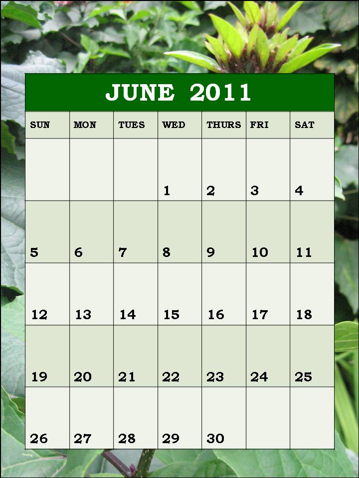 june 2011 calendar blank. june