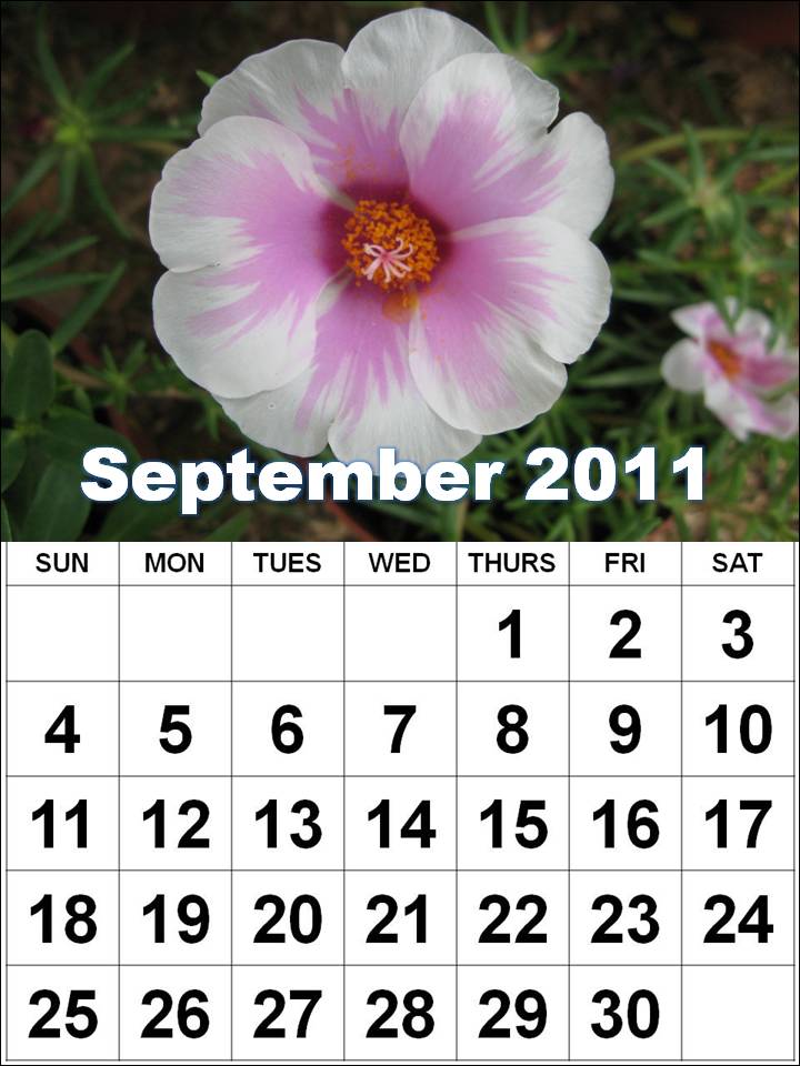 calendar of september 2011. calendar september 2011.