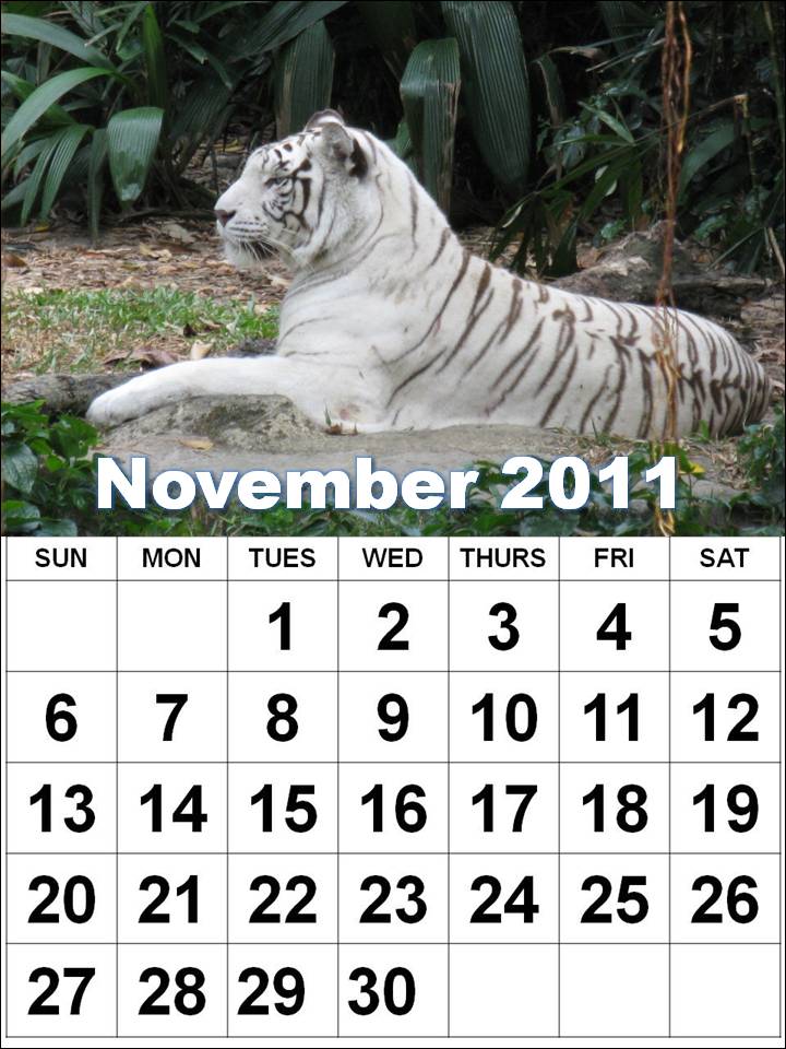 november calendar 2011. Calendar+november+2011