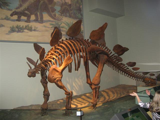 [IMG_1329+(Small).JPG]