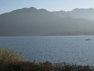 Into The Wild Einsichten Aus Munchen November 2009