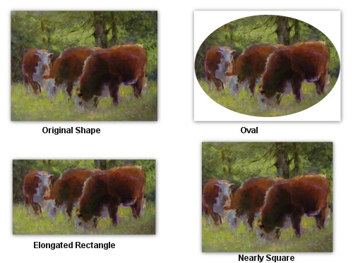 [herefords_shape.jpg]