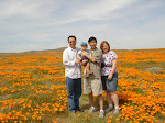 Poppy Reserve