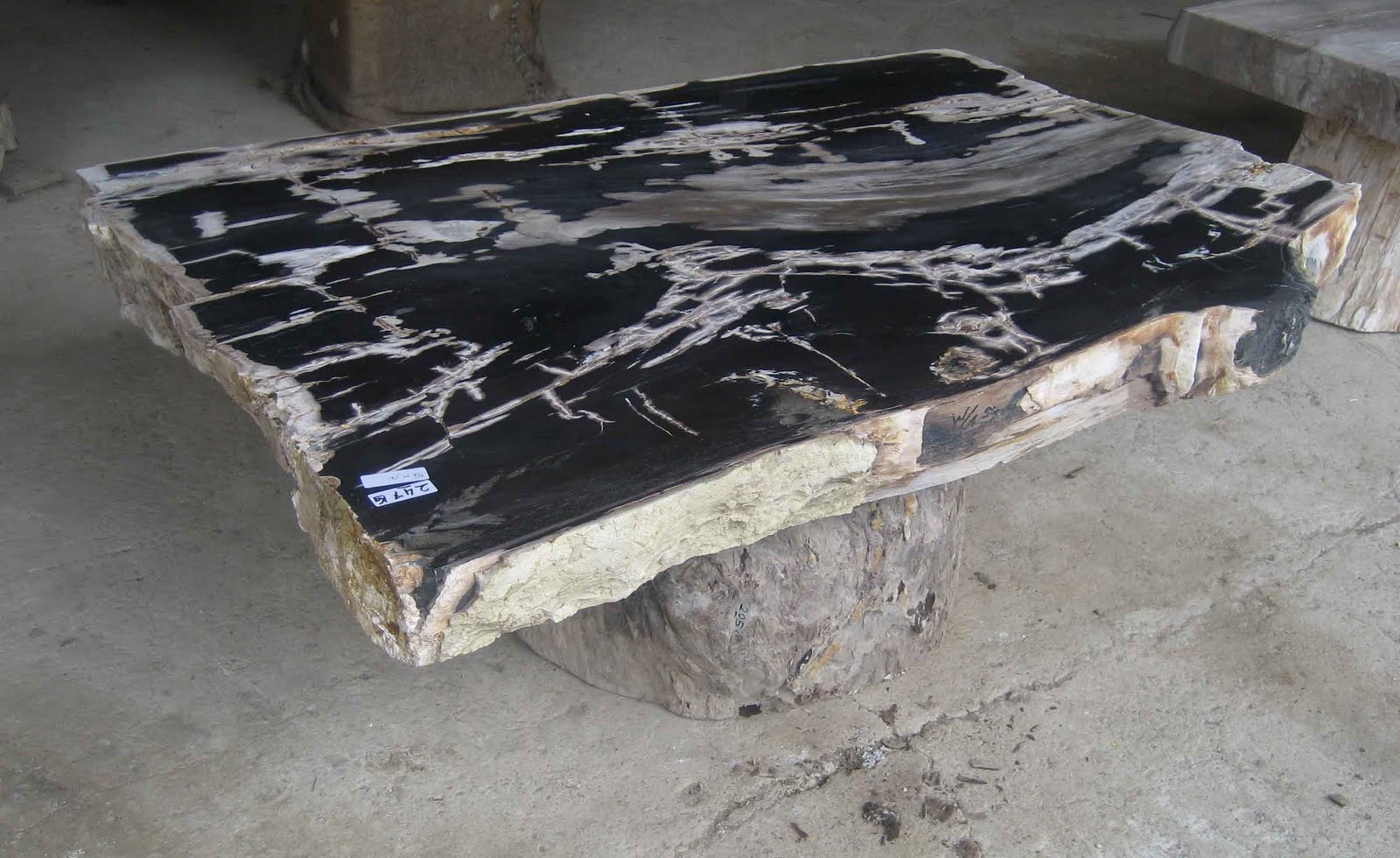 home and garden PETRIFIED WOOD TABLE TOP