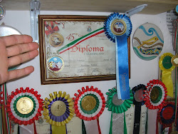 titolo italiano Ercolano 2009