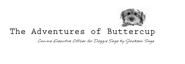 The Adventures of Buttercup