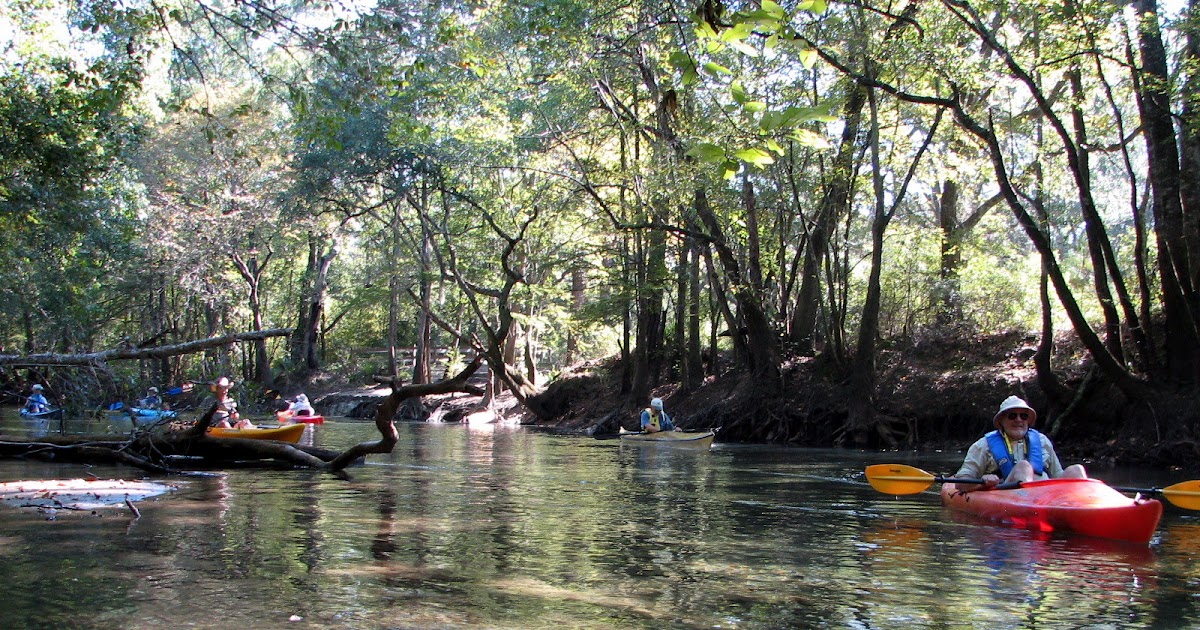 Florida Recreation Tallahassee Kayak Club takes on Holmes Creek